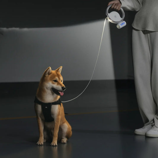 Type-C rechargeable pet leash with night light