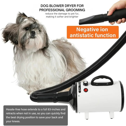 2800W Pet Hair Dryer for Dogs & Cats – Fast, Silent Grooming Blower