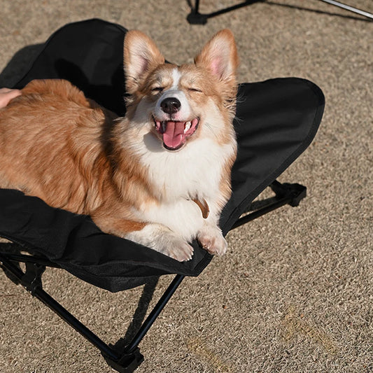 Steel frame pet cot with breathable mesh