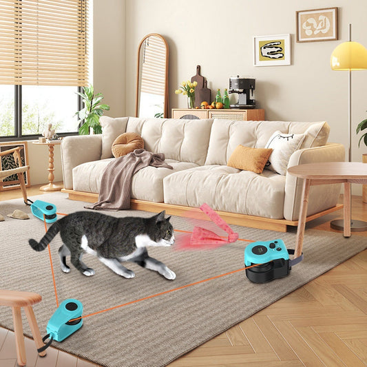 

Smart remote-controlled cat treadmill with LCD display