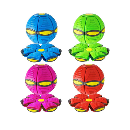 dog fetch toy