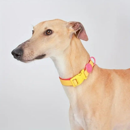 Eco-friendly dog collar

