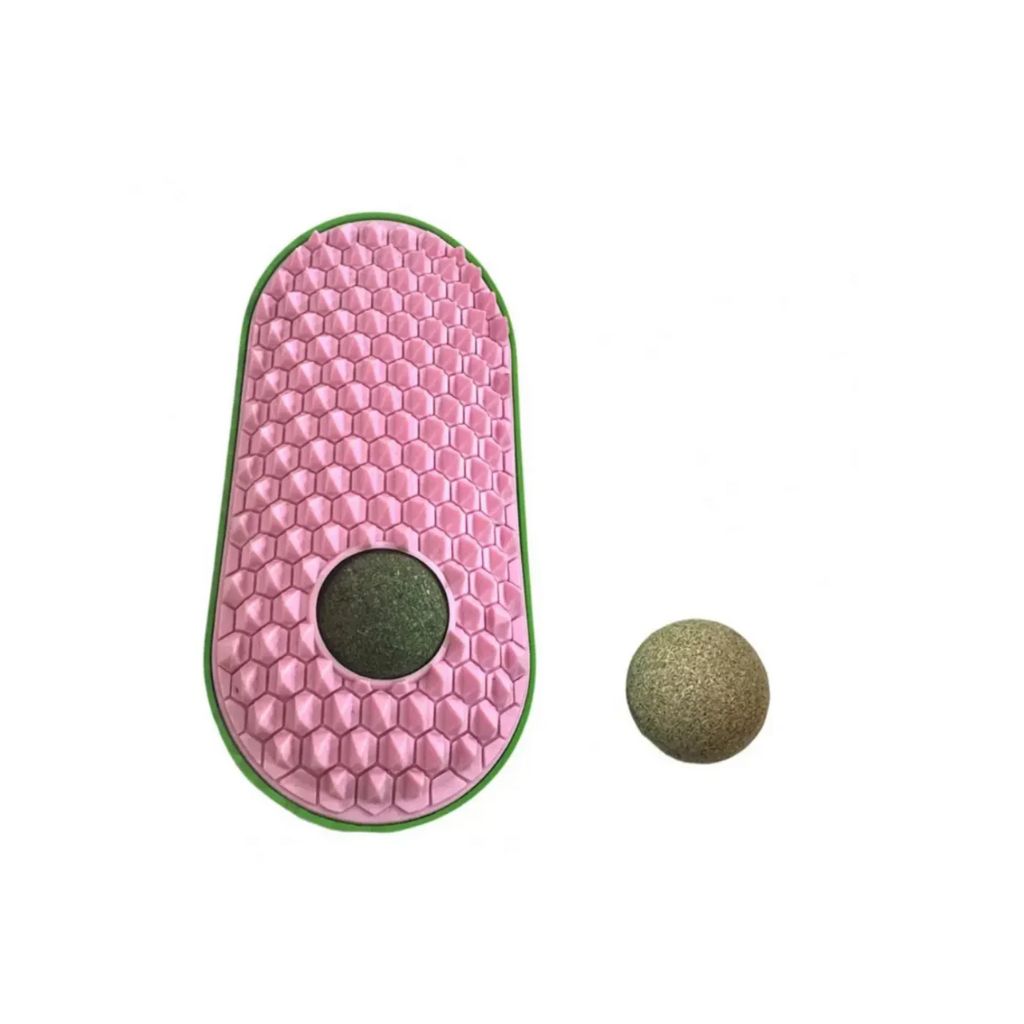 Cat entertainment toy