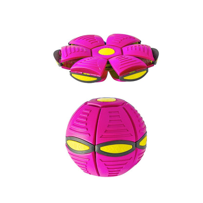 dog fetch toy