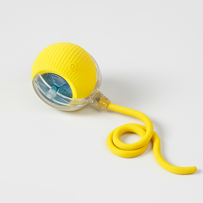 Smart USB Pet Exercise Ball

