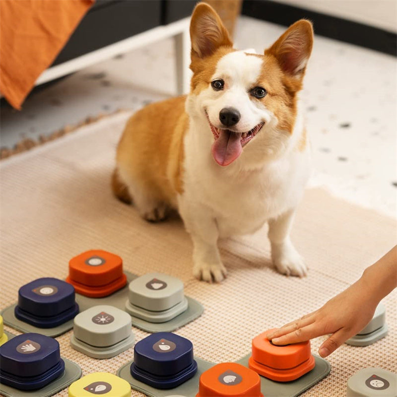 

One-click recordable sound button for pets