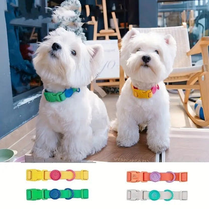 Durable dog collar

