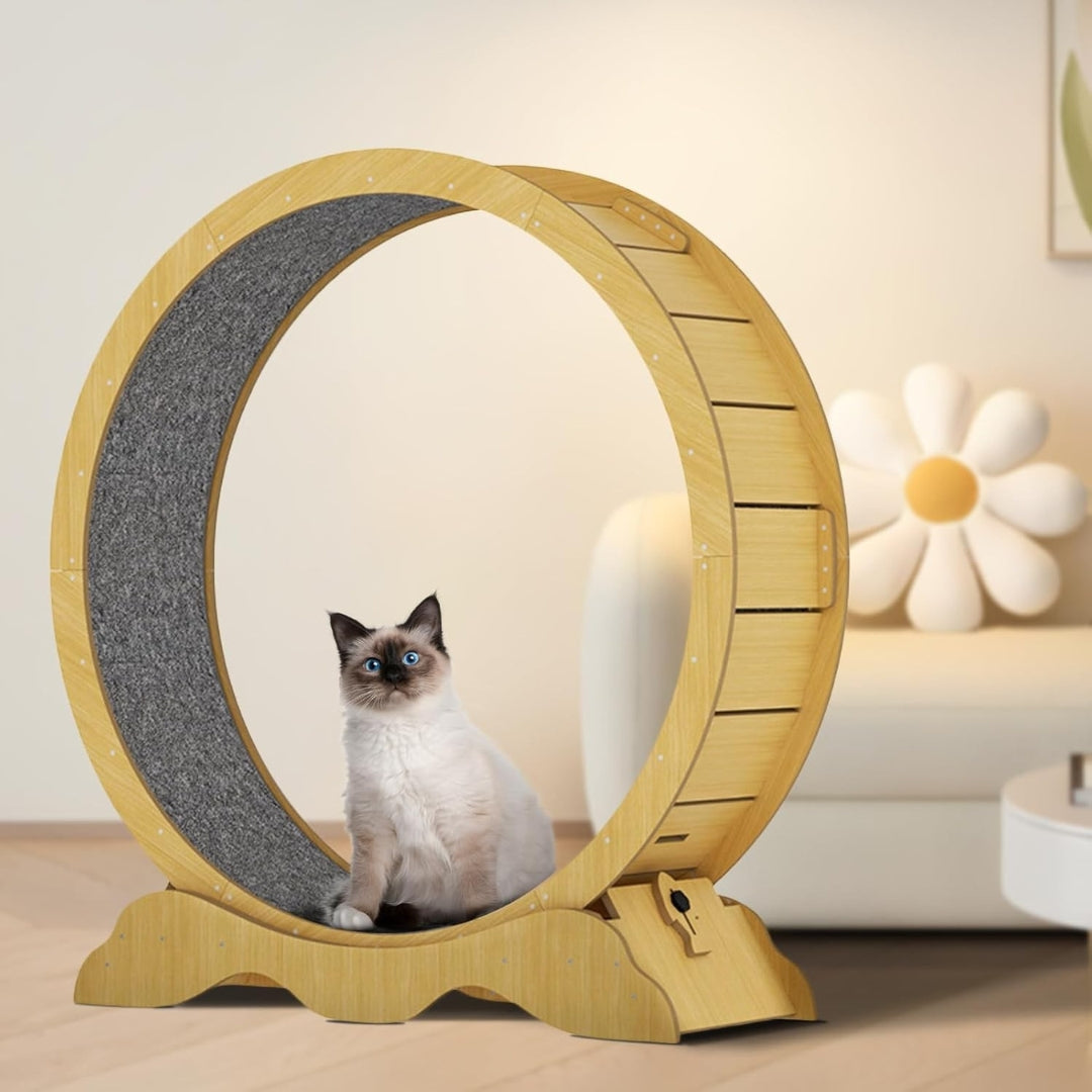 45-Inch Cat Exercise Wheel – Silent Treadmill with Safety Lock