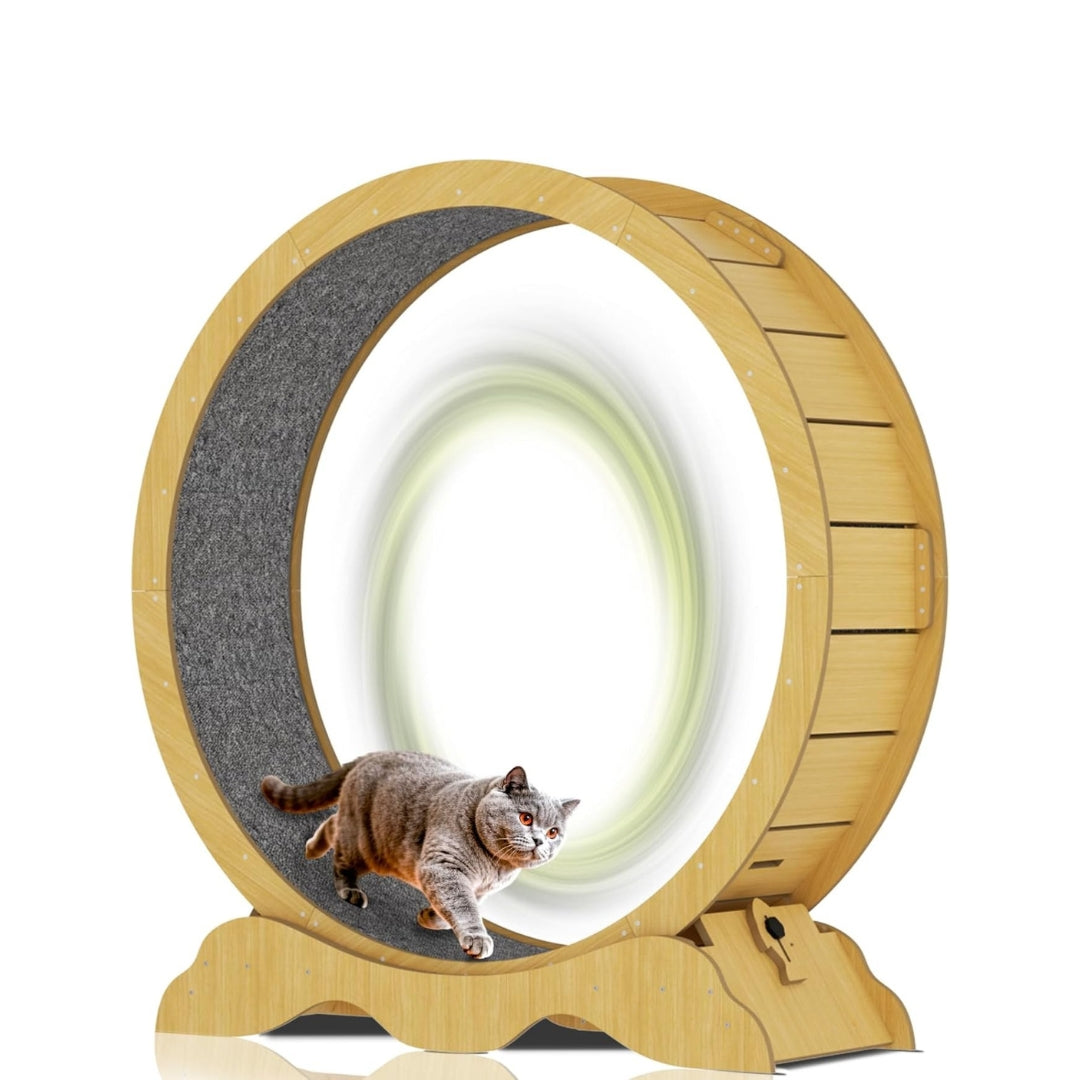 45-Inch Cat Exercise Wheel – Silent Treadmill with Safety Lock & Detachable Carpet Track