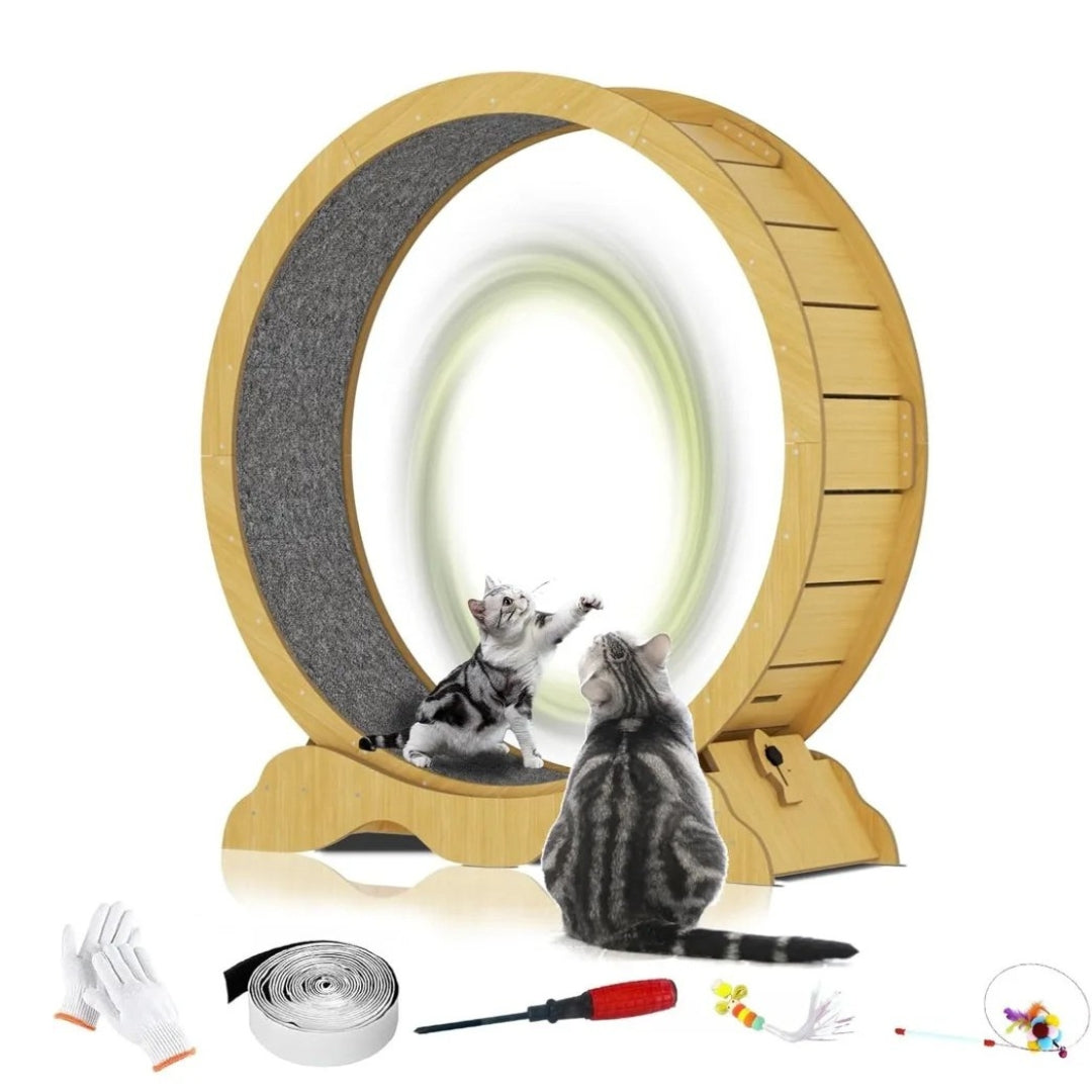 45-Inch Cat Exercise Wheel – Silent Treadmill