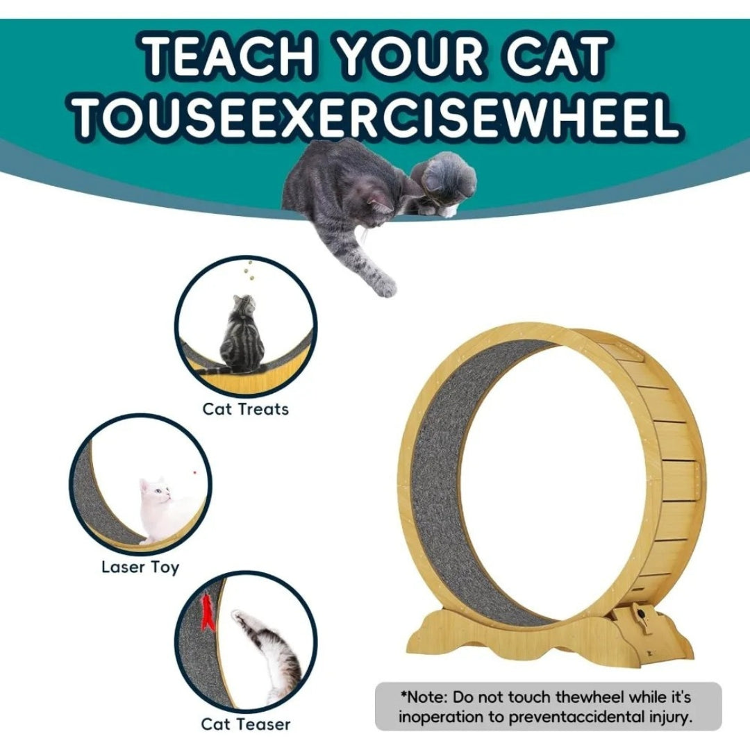 45-Inch Cat Exercise Wheel 