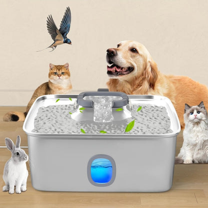 

Clean and fresh water dispenser for large dogs and cats