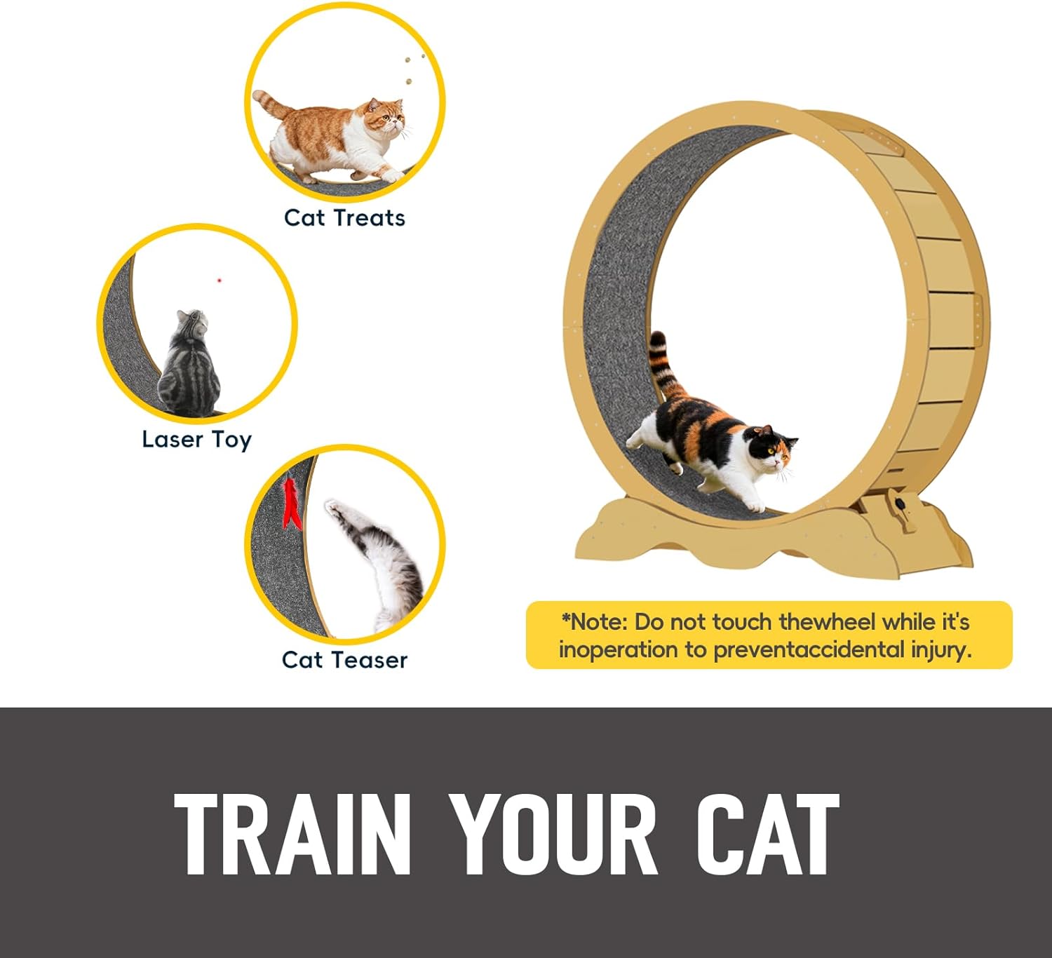 

Fitness exercise wheel for cats up to 120 lbs