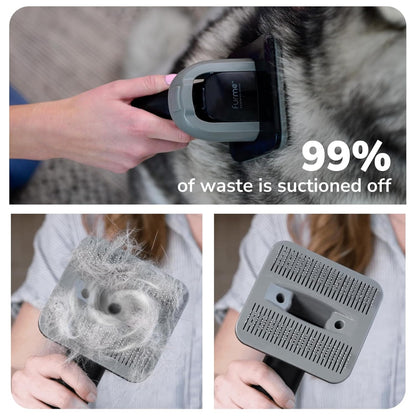 

Cat grooming vacuum system with brush tools