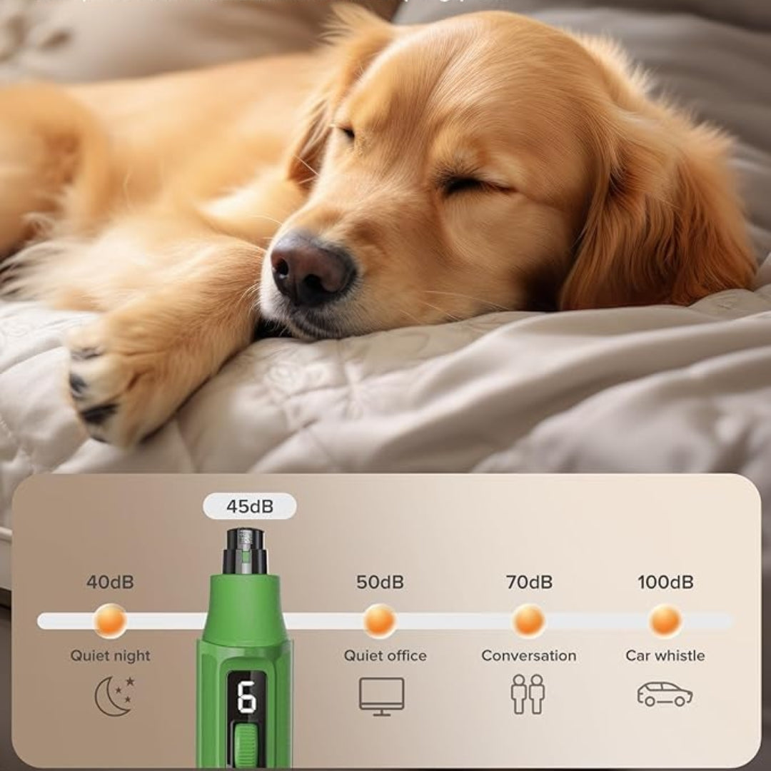 

Heavy-duty electric pet nail file for birds and small animals