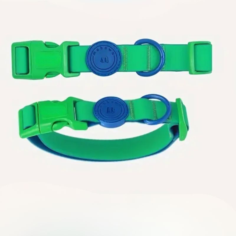 Eco-friendly dog collar

