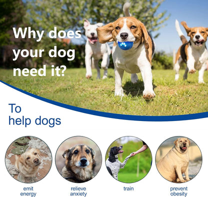 

Rechargeable LED dog ball for indoor and outdoor play