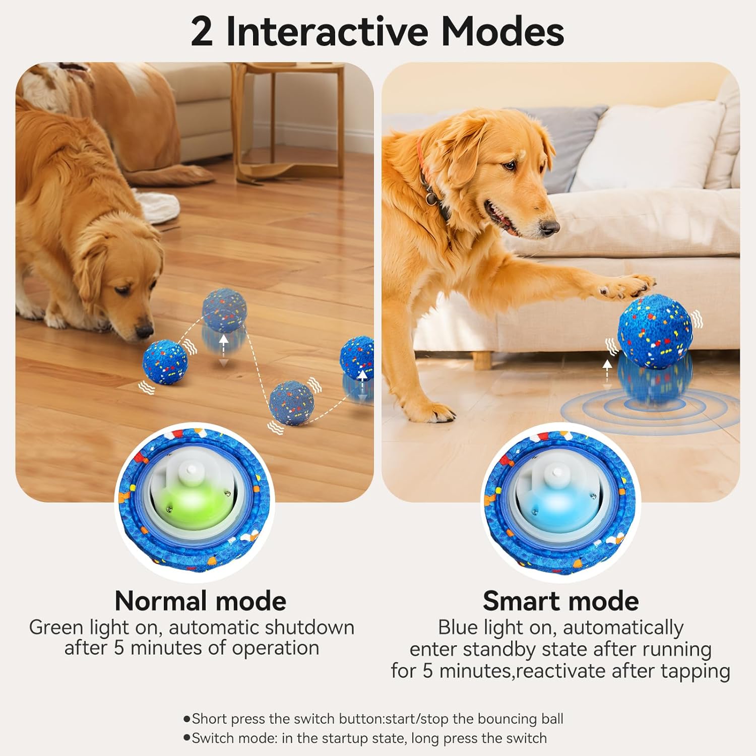 dog training toy