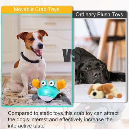 moving dog toy, 