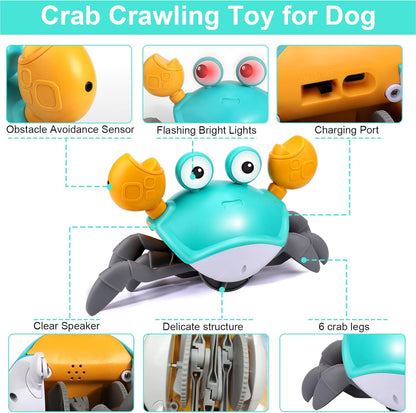 Interactive crawling crab toy for dogs and cats