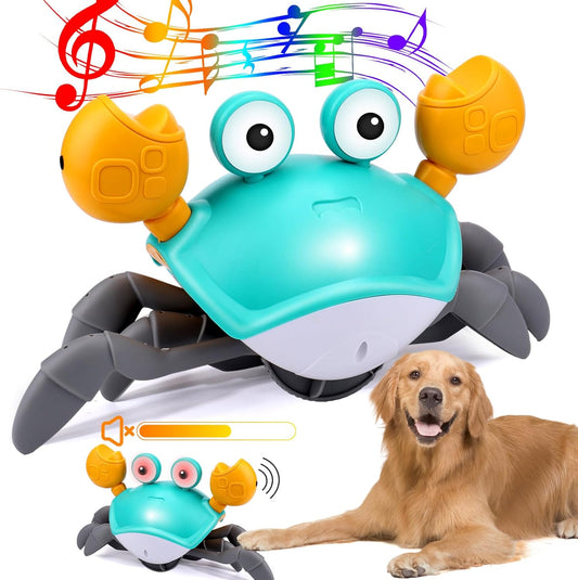  interactive pet toy,