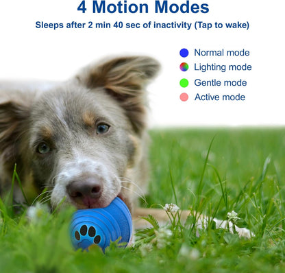 Durable TPU and PC dog ball toy for active play
