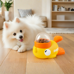 Focused Fun for Pets