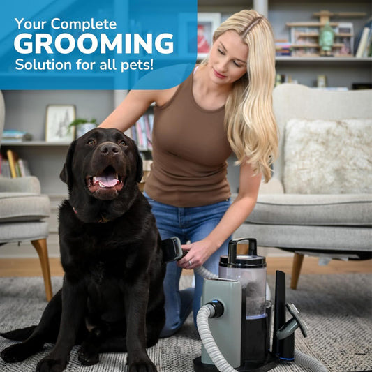 

Quiet pet hair remover vacuum with HEPA filter