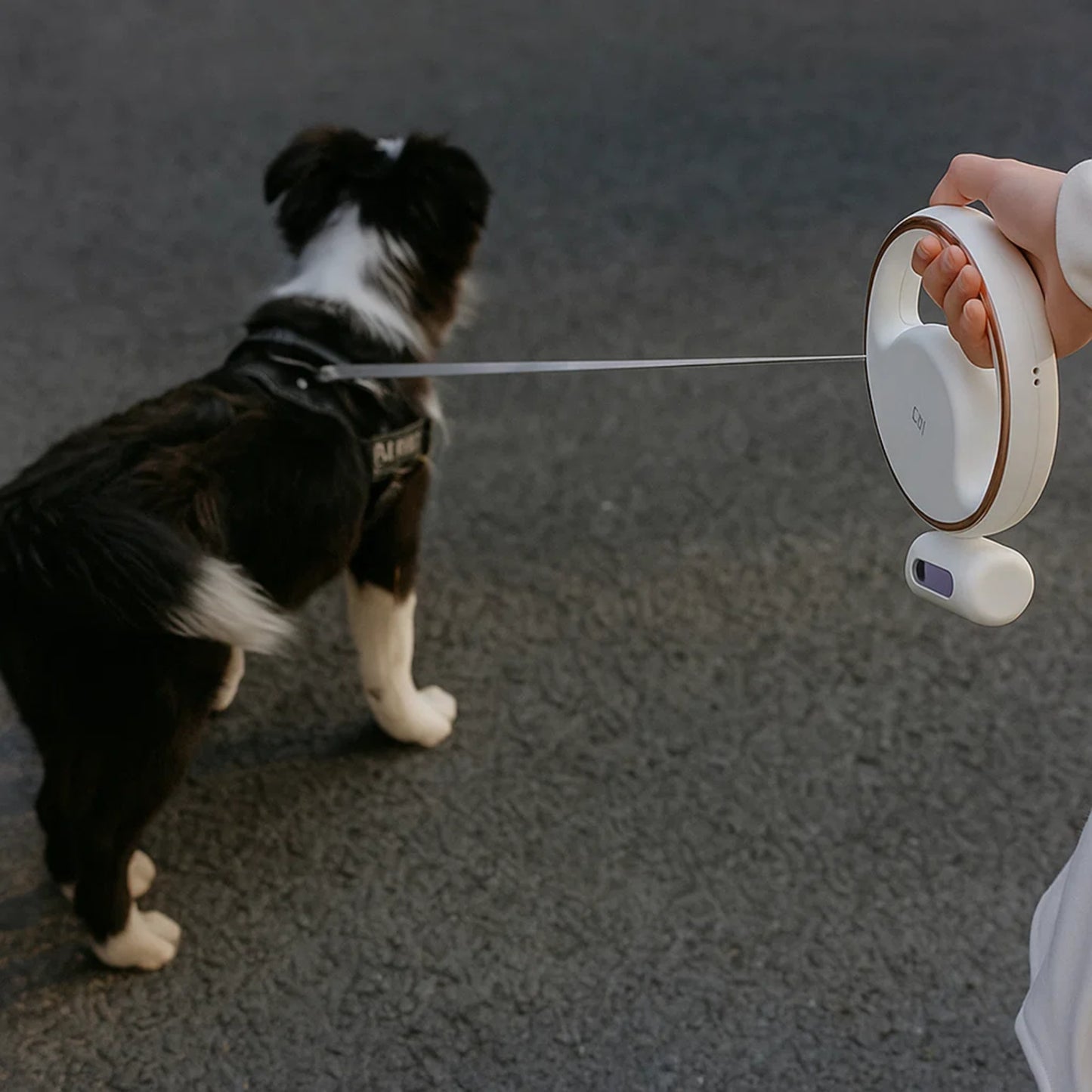

Anti-slip handle retractable leash for small and medium dogs