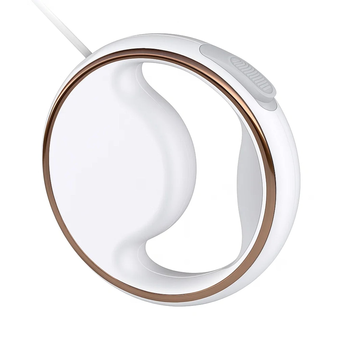 

Stylish LED dog leash for safe nighttime walking