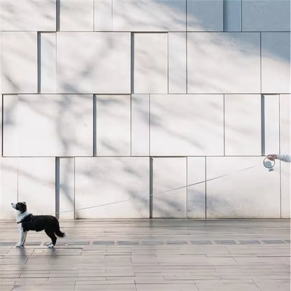 

One-push lock dog leash with soft arc grip