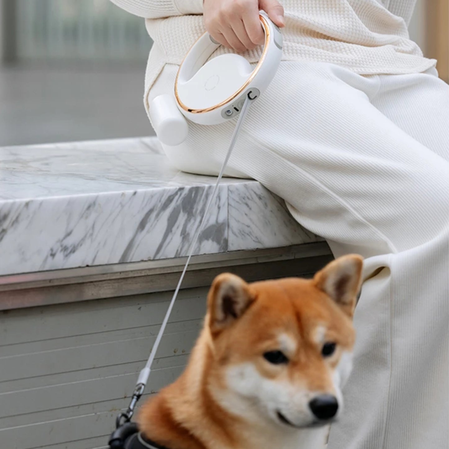 

Modern white retractable leash with ergonomic handle