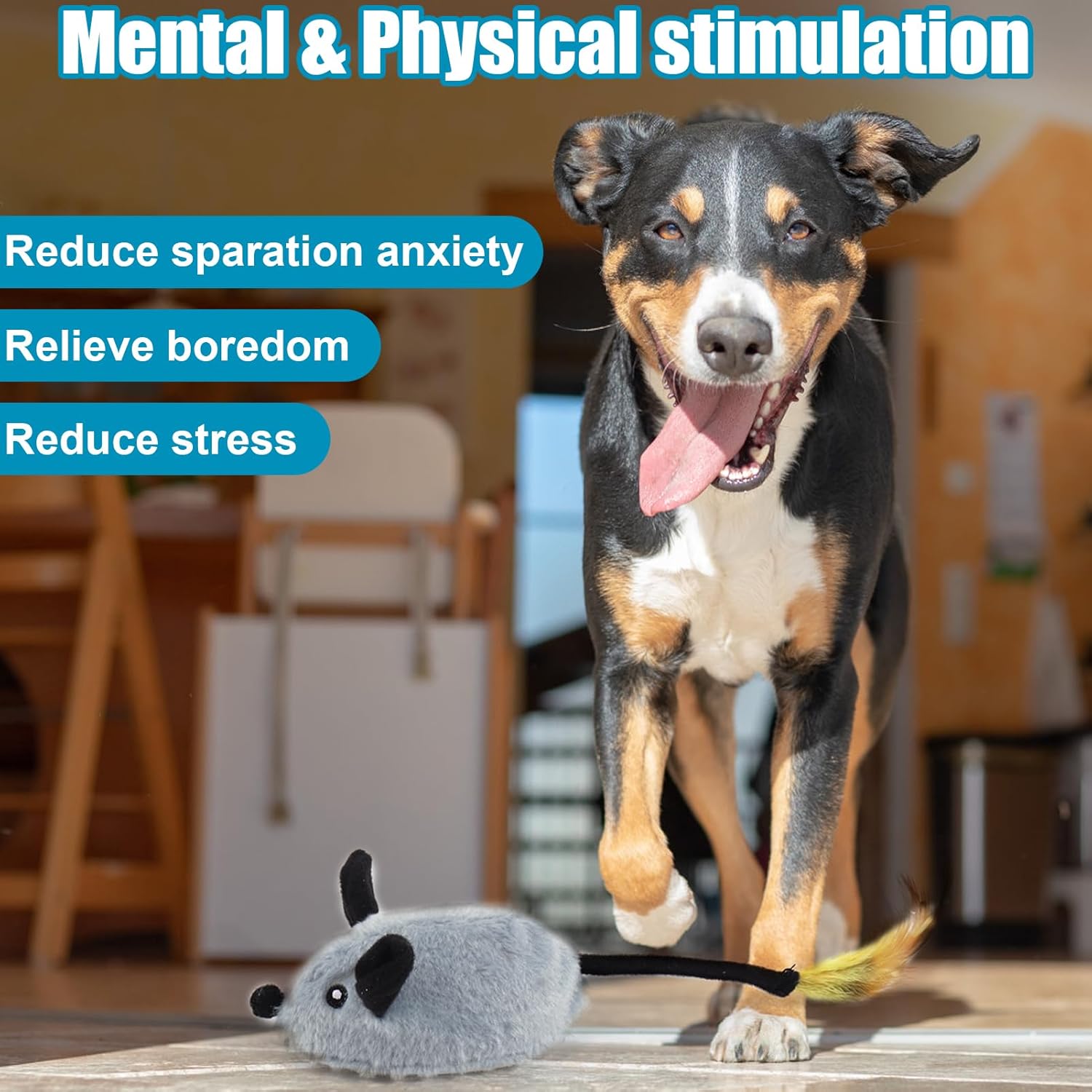 

Squeaky motion-activated pet toy for boredom relief