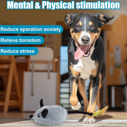 

Squeaky motion-activated pet toy for boredom relief