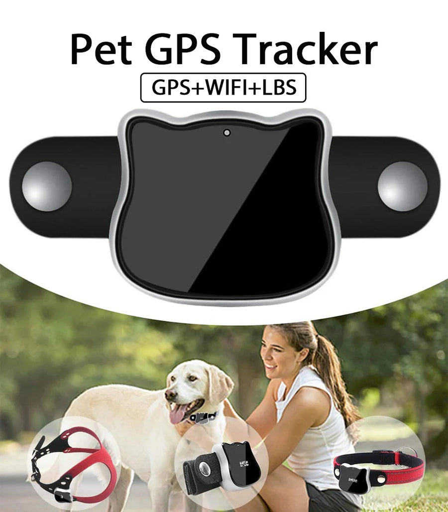 

Pink smart pet collar with tracking device