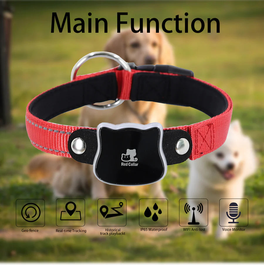 

Real-time GPS location tracker for pets