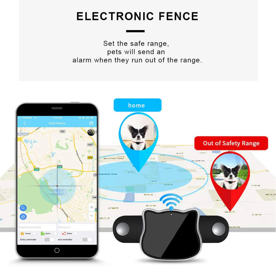 

App interface showing live pet tracking