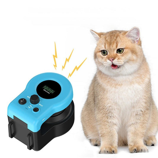 Interactive cat exercise wheel toy for indoor cats