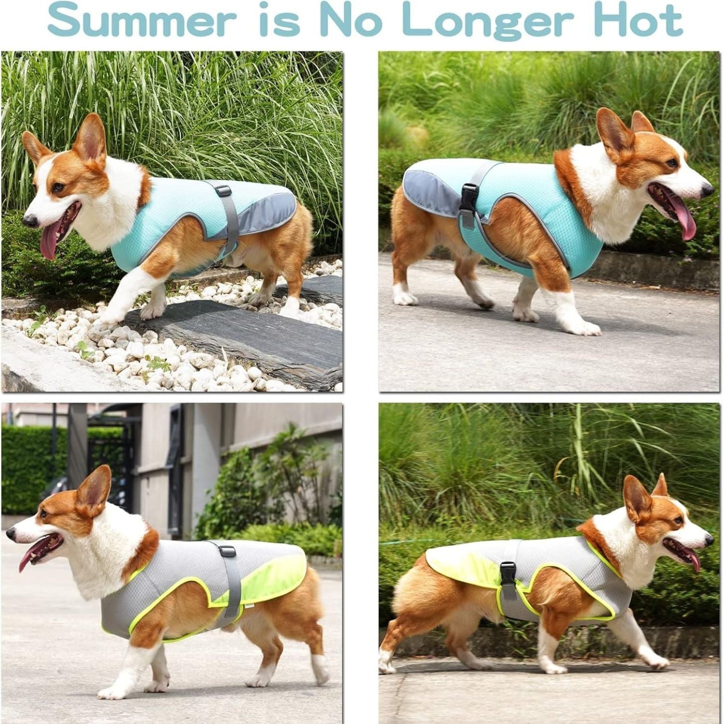 lightweight summer dog vest

