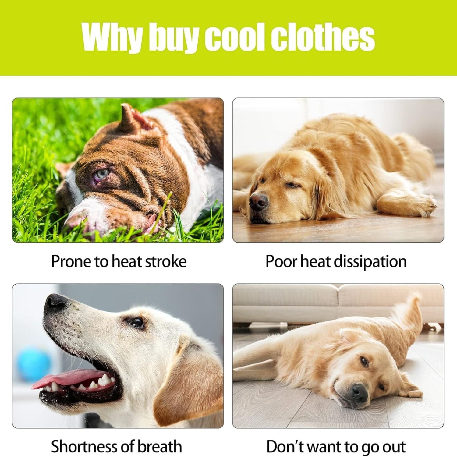 Cooling Vest for Dogs 