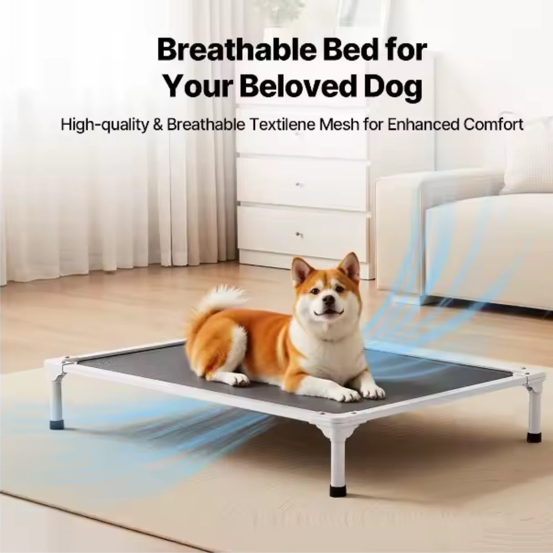 

Aluminum frame dog bed for indoor outdoor use