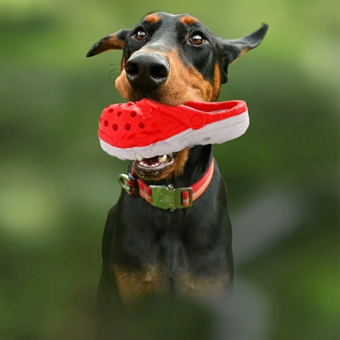 

Treat dispensing chew toy for large dogs