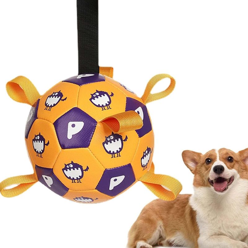 Dog exercise toy
