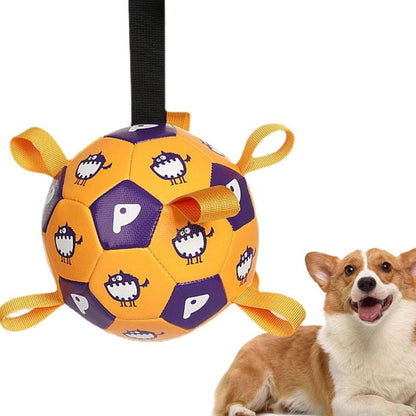 Dog exercise toy