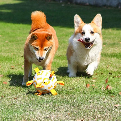 Outdoor fetch toy for dogs