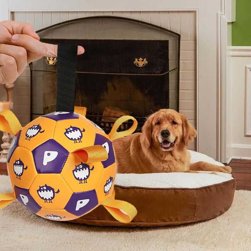 Dog exercise toy