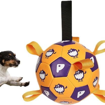 Outdoor fetch toy for dogs