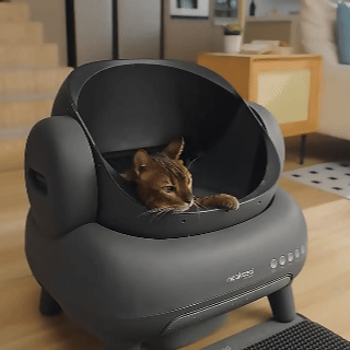 M1 Smart Automatic Cat Litter Box – Low-Noise, Odor-Control, App-Controlled Self-Cleaning System
