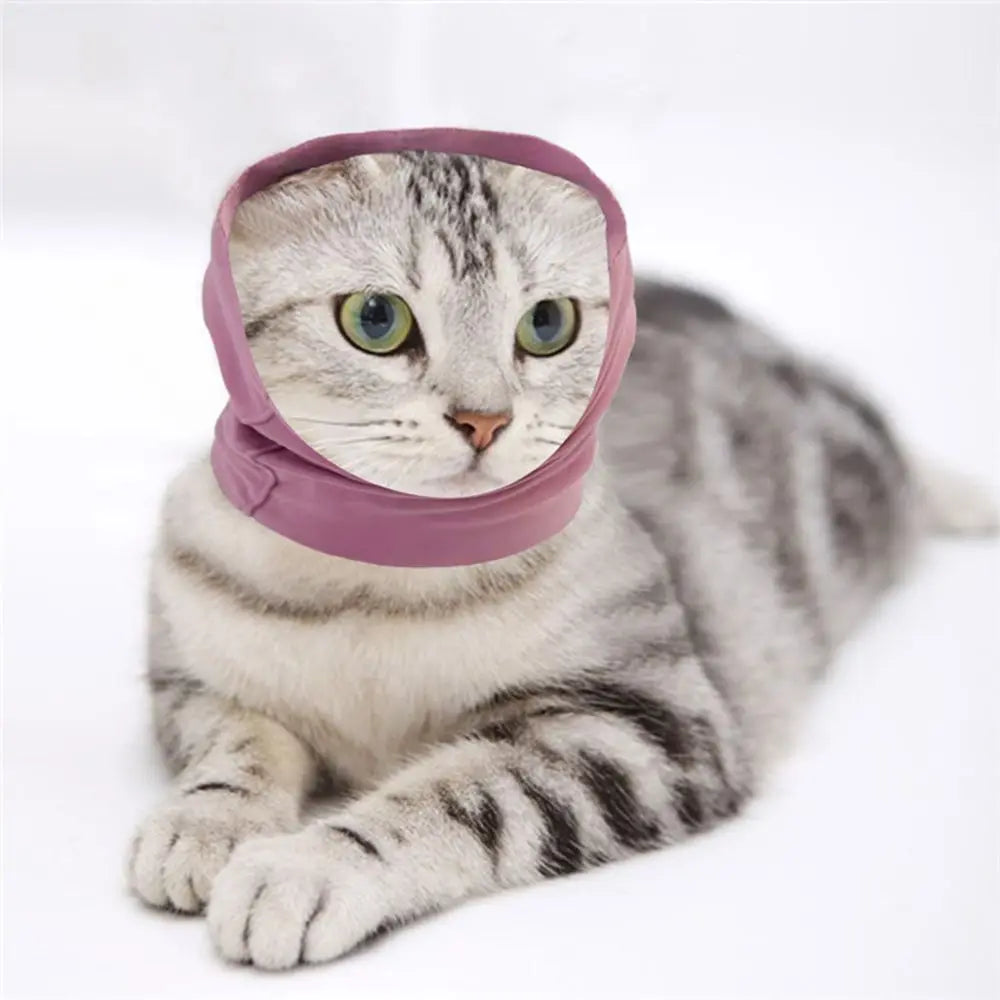 

Puppy wearing soft pet headgear
