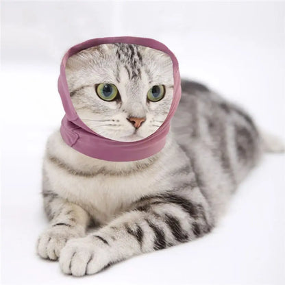 

Puppy wearing soft pet headgear